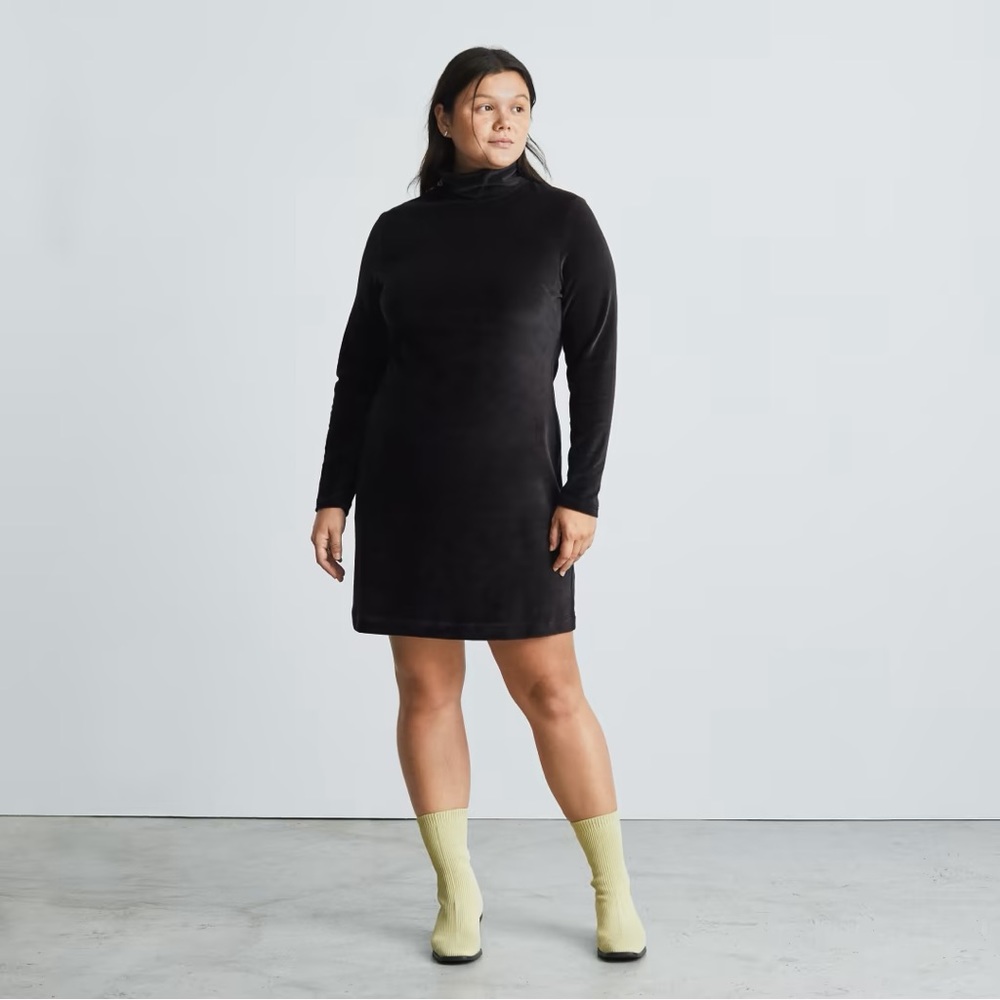 Everlane Velour turtle neck mini dress
